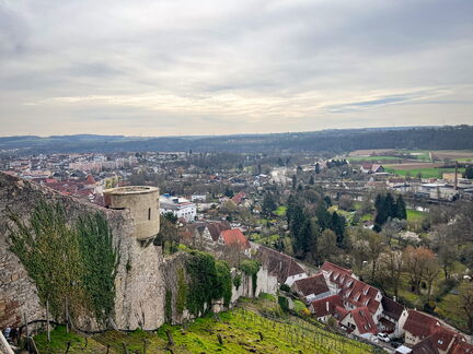 23-03-17 12-09-36 4902